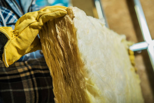 Best Geographic-Specific Insulation Services in Howard City, MI