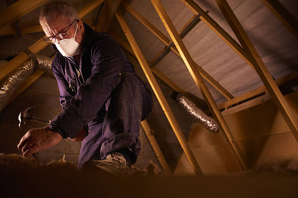 Best Energy Efficiency Insulation in Howard City, MI