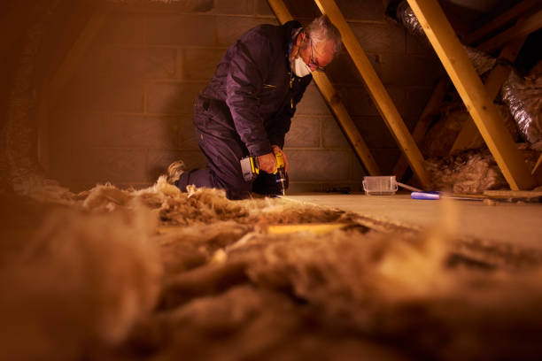 Best Cellulose Insulation in Howard City, MI